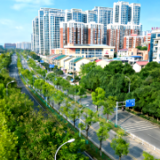 破解雷锋新城的“生长密码”