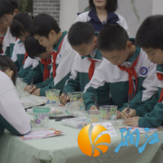 一米视角读红色 白箬游学正少年