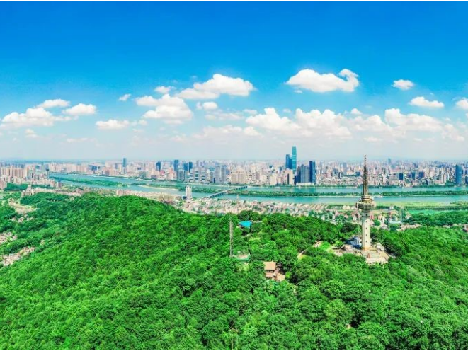 湖南湘江新区文化和旅游产业链赴穗深招商 锚定数字文旅融合新赛道