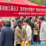 银鸿桃江聚合力 助农集市绘振兴