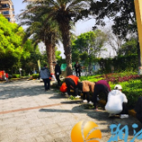 天凤社区：党建引领聚合力 除草护绿解民忧