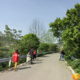 莲花镇五丰村：守护碧水清流 共建美丽家园