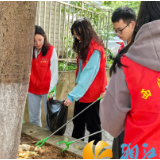龙王港社区开展“五‘忆’快乐 劳动光荣”劳动节主题活动