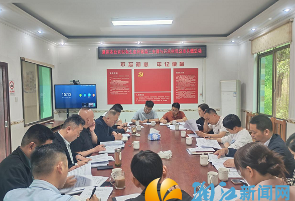 党建引领聚合力 专业赋能促振兴