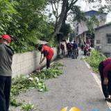 党员志愿先锋行，共绘乡村洁净新画卷