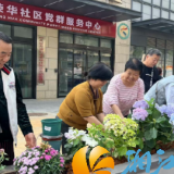 党建引领添新绿 共建共享绿邻美