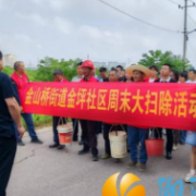 金山桥街道金坪社区：多方携手周末大扫除，共建社区洁净家园