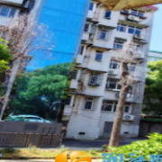 枯树隐患终消除 居民致谢暖人心