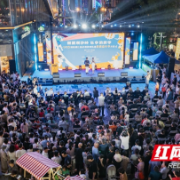 “潮聚观沙岭 乐享消费季”消费嘉年华启幕