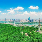 川塘社区：六一“童”欢乐，端午“粽”动员