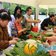银鸿社区：粽香飘企社 端午乐游园