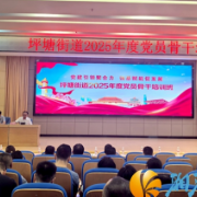 党建引领聚合力 强基赋能促发展