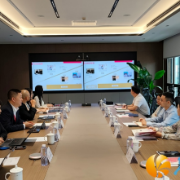 新区现代金融产业链：学习产业发展经验 深化区域金融合作