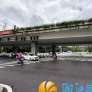 路口通行效率提高35%！金星路北二环“堵点”精准改造初显成效