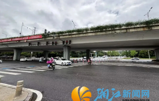 路口通行效率提高35%！金星路北二环“堵点”精准改造初显成效