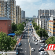 拓宽至30米！“升级版”望岳路更通畅了