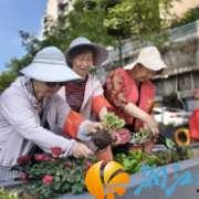 让每片绿叶都说话 让每个角落都育人