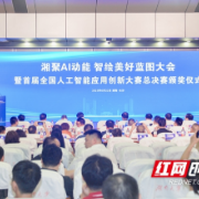 首届全国人工智能应用创新大赛在长沙收官