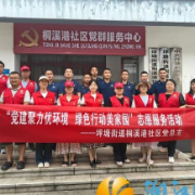 党建聚力优环境 绿色行动美家园