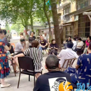 银盆岭街道桐梓坡社区：“五有议事法”解锁基层治理“幸福密码”