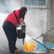清扫消杀双管齐下，桐梓坡社区织密健康防护网