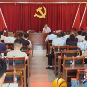 白箬铺镇开展社会治理专题培训 赋能党建引领基层治理效能提升
