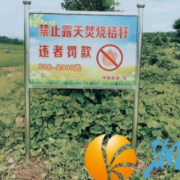“秸”尽全力不打烊  筑牢禁烧“防火墙”