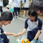 "清洁家园·青春同行"：50名学生志愿者为小区环境"美颜"