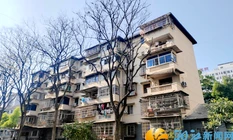 从“住有所居”到“住有宜居”，天顶街道绘就人居环境新画卷