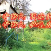 勤于防火 国兴民安 疏于防火 必酿后果