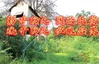 勤于防火 国兴民安 疏于防火 必酿后果
