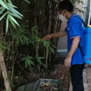 诚兴社区：灭蚊防疾，守护居民健康