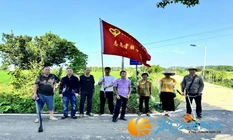 1.4公里主干道焕新！白箬铺镇胜和村“退役军人+村民自治”激活基层治理