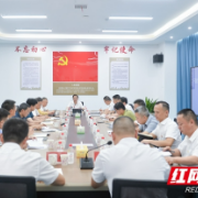 谭勇专题调度中央巡视组移交重点事项办理工作