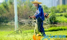 高温下的“绿荫守护者” 望月公园园丁用汗水浇灌城市绿意