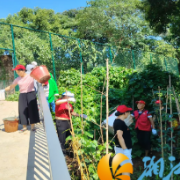 师大社区开展环境整治，筑牢社区公共卫生安全屏障