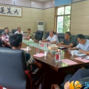 莲花镇召开“优秀退役军人”座谈会 共庆建军节 共话新发展