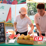 4天卖了12000斤！岳麓山上白箬水果火“出圈”