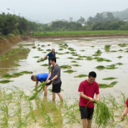 深入田间地头 以优良作风赋能乡村振兴