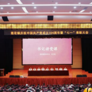 党建引领促发展，表彰先进助振兴