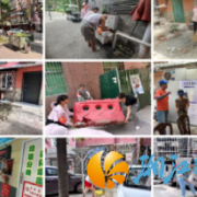 周末攻坚！湖中社区打响环境整治与登革热防控“双线战役”