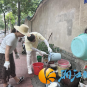 溁湾镇社区开展“三清一灭”行动 筑牢蚊媒传染病防线