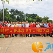 党建引领聚合力 金峙村环境整治筑牢健康防线