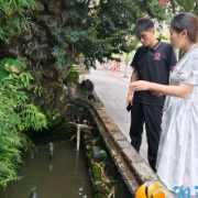 梅溪湖街道阳明山庄社区多举措开展蚊媒防治行动