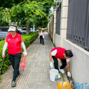 爱国卫生齐参与 筑牢健康防护网