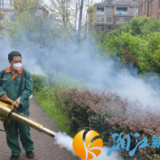 湘江新区城管系统积极开展防蚊灭蚊及疫情防控工作