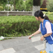 青少年志愿清环境，登革热防控同步行