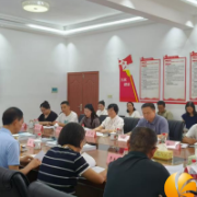 咸嘉湖街道社区治理国家级标准化试点高分通过评估验收