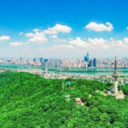湘江新区赴郑州开展招商考察，聚焦文旅产业新机遇