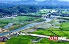 以单元化管理绘就乡村振兴新图景